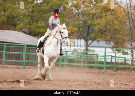 Junge Frau Reiten Shire Horse in arena Stockfoto