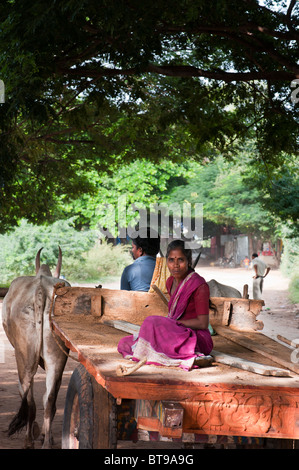 Indische Frau sitzt auf einem Ochsenkarren zurück in ein Dorf gehen. Andhra Pradesh, Indien Stockfoto