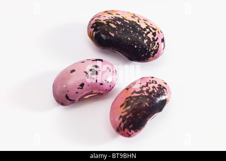 Stangenbohnen (Phaseolus Coccineus) Stockfoto