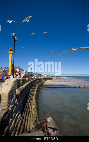 Möwen fliegen über Bridlington direkt am Meer Stockfoto