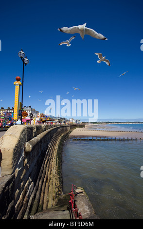 Möwen fliegen über Bridlington direkt am Meer Stockfoto