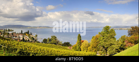 Blick vom Schloss Arenenberg über die Weinberge in Richtung Mannenbach und am westlichen Bodensee Stockfoto