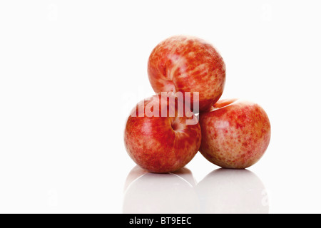 Pluots, Hybriden von Pflaume und Aprikose Stockfoto