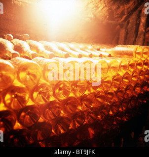 alte Flaschen im Weinkeller mit Sonne Reflexion Stockfoto