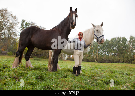 Frau mit zwei großen schwarzen und weißen Shire-Pferde auf der Weide Stockfoto