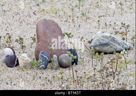 Künstlerische Stein Anordnung Caleta Pan de Azucar Campingplatz Norte Chico Chile Südamerika Stockfoto