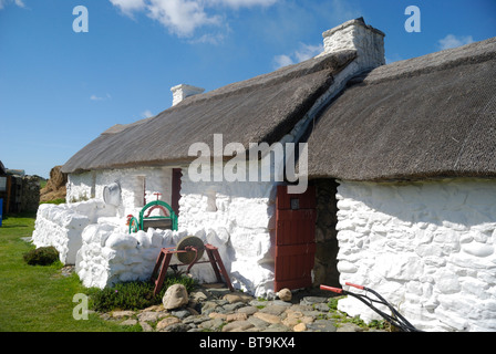 Swtan restauriert 17. Jahrhundert Reetdachhaus, Anglesey, Nordwales Stockfoto