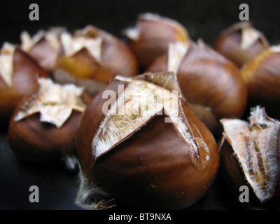 Lecker frisch gerösteten Kastanien Stockfoto