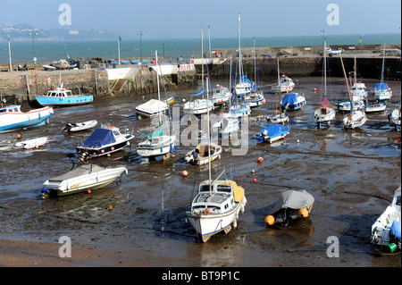 Boote bei Ebbe in Dartmouth Harbour Devon Uk Stockfoto