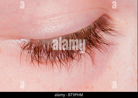 Eine Nahaufnahme von einem Childs Wimpern Stockfoto