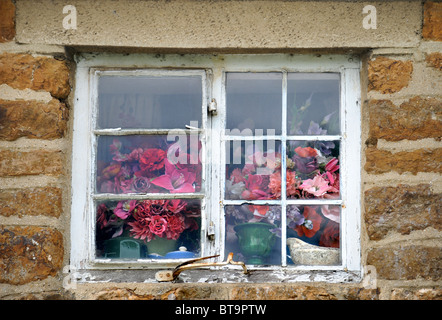 Blumenarrangements, gesehen durch ein Oxfordshire Hütte Fenster UK Stockfoto