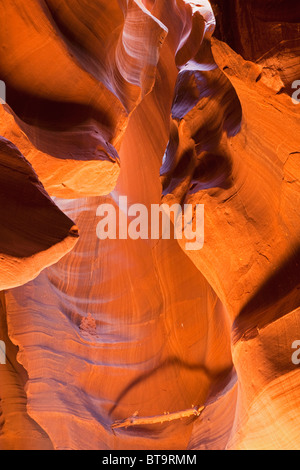 Upper Antelope Canyon, Slotcanyon, Page, Arizona, USA Stockfoto