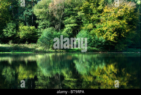 Friday Street, der Hammer Pond Herbst in Großbritannien. Leith Hills, Surrey England HOMER SYKES Stockfoto