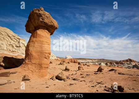 Toadstool Hoodoos, Grand Staircase Escalante National Monument in Utah, Amerika, USA Stockfoto