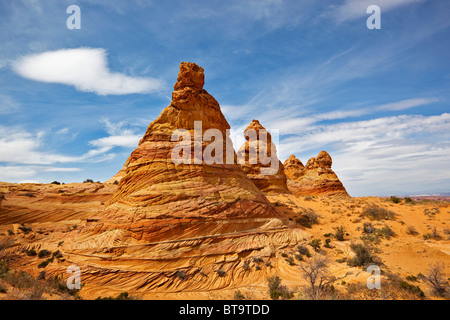 Cottonwood Teepees, Coyote Buttes South, Paria Canyon-Vermilion Cliffs Wilderness, Utah, Arizona, Amerika, Vereinigte Staaten von Amerika Stockfoto