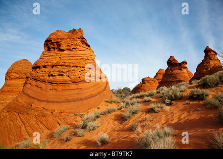 Cottonwood Teepees, Coyote Buttes South, Paria Canyon-Vermilion Cliffs Wilderness, Utah, Arizona, Amerika, Vereinigte Staaten von Amerika Stockfoto