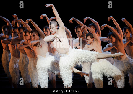 Matthew Bourne 'Schwanensee' Sadler es Wells, London, 15. Dezember 2009. Stockfoto