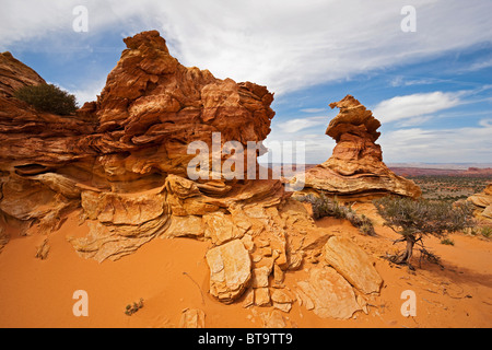 Bizarre Felsen, Coyote Buttes South, Paria Canyon-Vermilion Cliffs Wilderness, Utah, Arizona, Amerika, Vereinigte Staaten Stockfoto