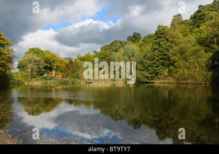 Friday Street, der Hammer Pond Herbst in Großbritannien. Leith Hills, Surrey England HOMER SYKES Stockfoto