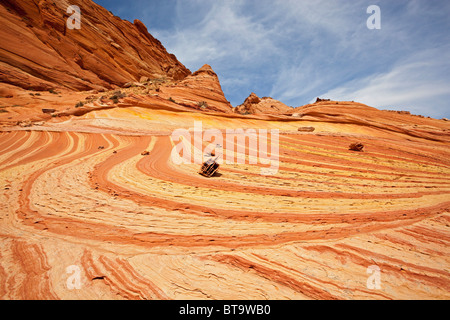 Boxwork Felsen, bizarre Felsformationen im Coyote Buttes North, Paria Canyon-Vermilion Cliffs Wilderness, Utah, Arizona, USA Stockfoto