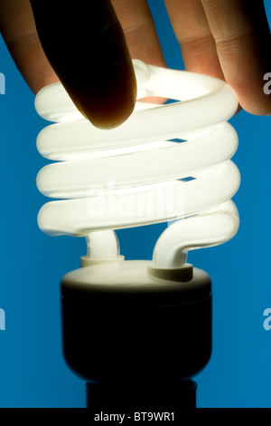 Hand, die Energie-effiziente Glühbirne installieren Stockfoto