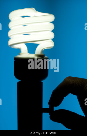 Energie effiziente Leuchtstoff Glühlampe - Schalter Stockfoto