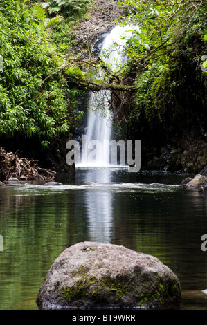 Wainibau Wasserfall, Taveuni, Fidschi Stockfoto