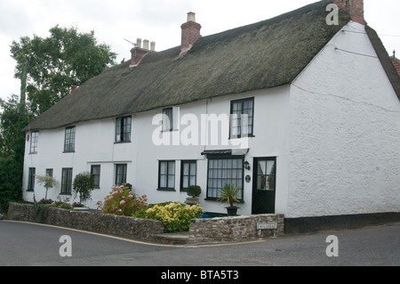 Reetdachhaus in Devon Stockfoto