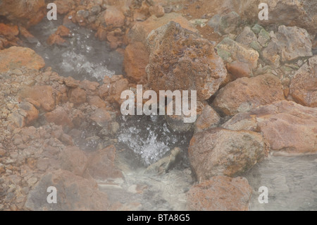 Island, Halbinsel Reykjanes, Krysuvik Seltun. Wichtig Hochtemperatur geothermischen Gebiet. Kochend heiße Quellen. Stockfoto