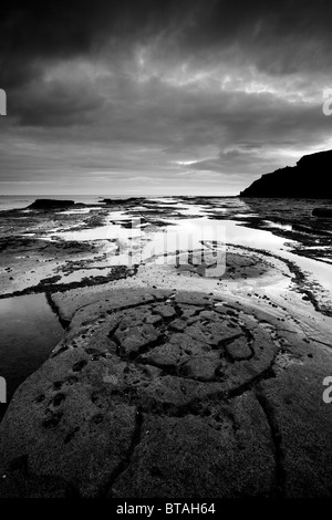 Kreisförmige Felsformationen bei Ebbe, gegen Bay in der Nähe von Whitby, North Yorkshire Coast Stockfoto