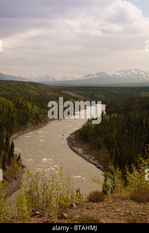 Alaska-Gelände und Berge Stockfoto