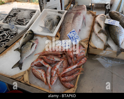 Vouliagmeni Athen Griechenland Samstagsmarkt Fischstand Stockfoto