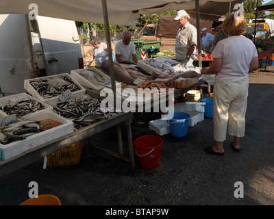 Vouliagmeni Athen Griechenland Samstagsmarkt Fischstand Stockfoto