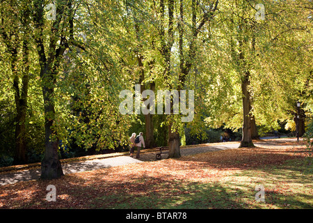 Die Tal-Gärten im Herbst, Harrogate, Nordyorkshire Stockfoto