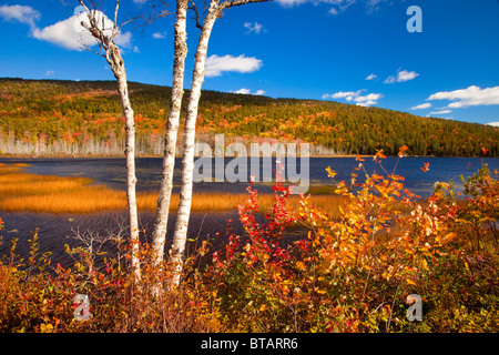 Herbstfarben am oberen Hadlock Teich im Acadia National Park, Maine, USA Stockfoto