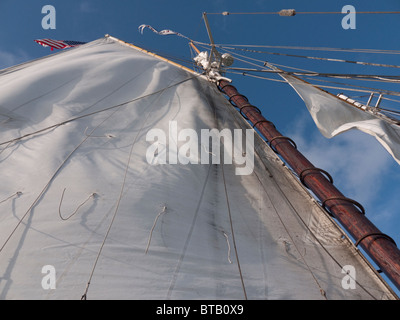 Segelschiff der Appledore Schooner aus Key West in Florida USA Stockfoto