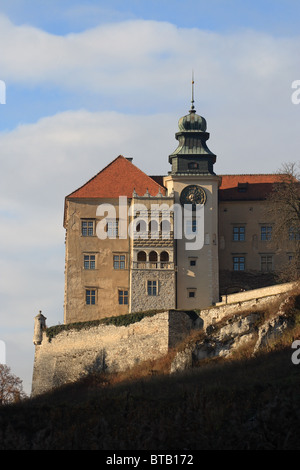Schloss Pieskowa Skala in Ojcowski Nationalpark, Polen Stockfoto