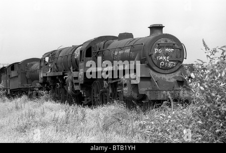 Schrottplatz britischer Dampflokomotiven bei Woodhams Yard in Barry South Wales Juli 1981 Großbritannien 1980er JAHRE BILD VON DAVID BAGNALL Stockfoto