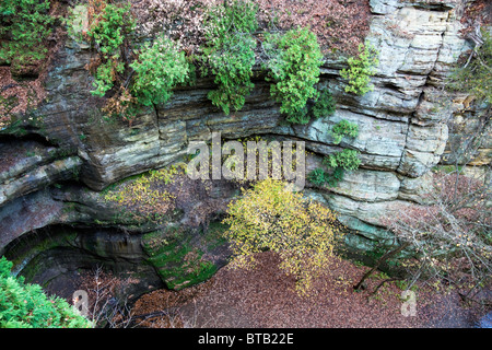 Wildcat Canyon im ausgehungerten Rock State Park Stockfoto