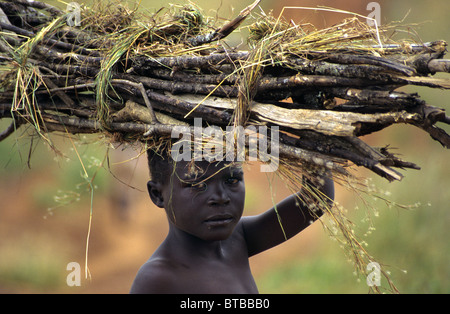 Brennholz in uganda Stockfoto