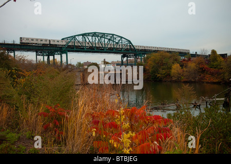 Beton-Anlage Park entlang des Bronx River im New Yorker Stadtteil Bronx Stockfoto