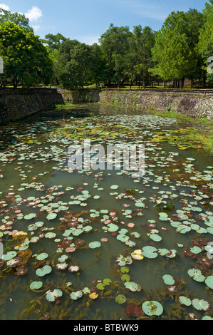 Seerose im Burggraben, Grab des Kaisers Lang Tu Doc, Kaiserstadt Hue, Nord-Vietnam Stockfoto