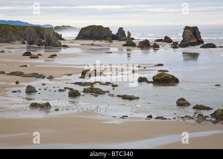 Ebbe im Bandon Beach mit Seastacks auf der Pazifik-Küste von Bandon-Oregon Stockfoto