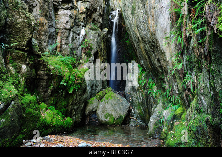 Dungeon Ghyll Kraft, Wasserfall in Great Langdale im englischen Lake DIstrict Stockfoto