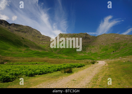 Mickleden Tal und Rosset Hecht im Sommer, englischen Lake District Stockfoto