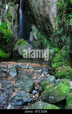 Dungeon Ghyll Kraft, Wasserfall in Great Langdale im englischen Lake DIstrict Stockfoto