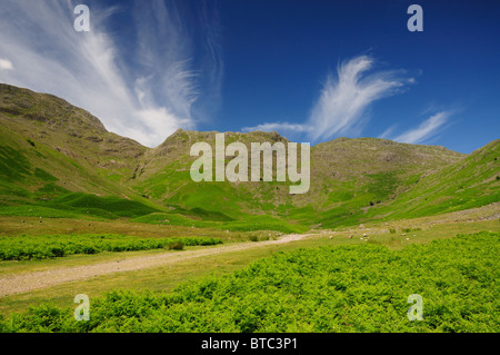 Mickleden Tal und Rosset Hecht im Sommer, englischen Lake District Stockfoto