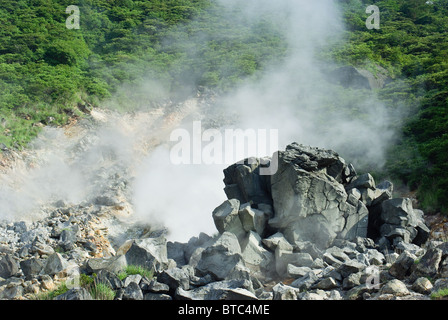 Große Felsen bedeckt im Dampf ins Tal, Hakone, Japan Stockfoto