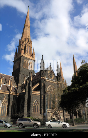 Katholische Kathedrale St. Patrick, Fitzroy, Central Business District, CBD, Melbourne, Victoria, Australien, Australien Stockfoto