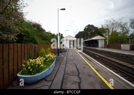 Sway Bahnhof Bahnsteig New Forest Hampshire UK Stockfoto